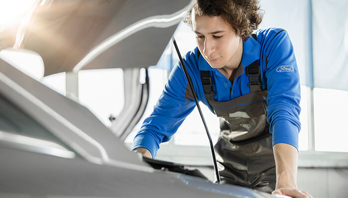 Ford Orijinal Benzin Filtresi